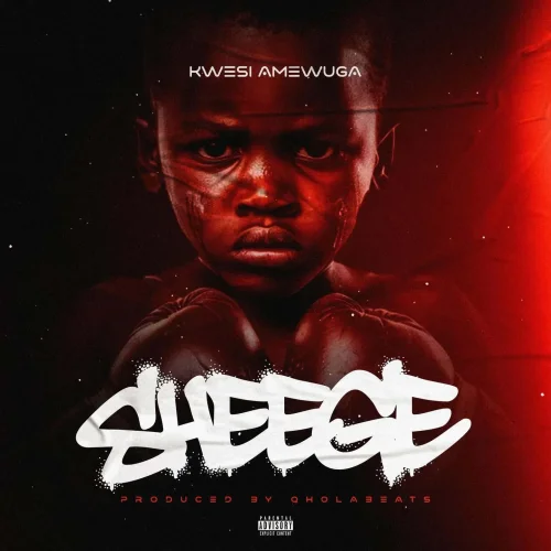 Kwesi Amewuga - Sheege