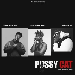 Kwesi Slay - PussyCat (feat. Quamina MP & Medikal)