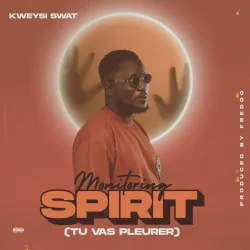 Kweysi Swat - Monitoring Spirit (Tu Vas Pleurer)