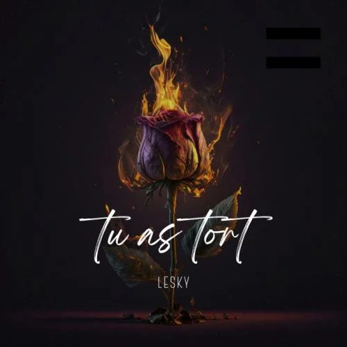 LESKY - Tu As Tort (Faut Bouai)