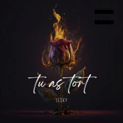 LESKY - Tu As Tort (Faut Bouai)