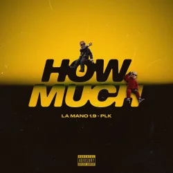 La Mano 1.9 - How Much (feat. PLK)