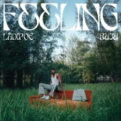 LadiPoe - Feeling (feat. Buju)
