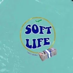 Lady Donli - Soft Life