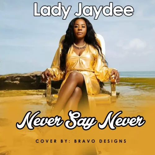 Lady JayDee - Never Say Never