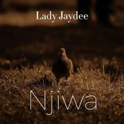 Lady JayDee - Njiwa