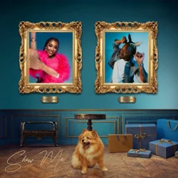 Lady Zamar - Show Me (feat. Fido)
