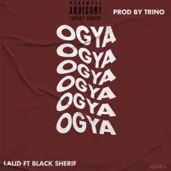 Lalid - Ogya (feat. Black Sherif)