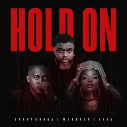 Larry Gaaga - Hold On (feat. MI Abaga & Efya)