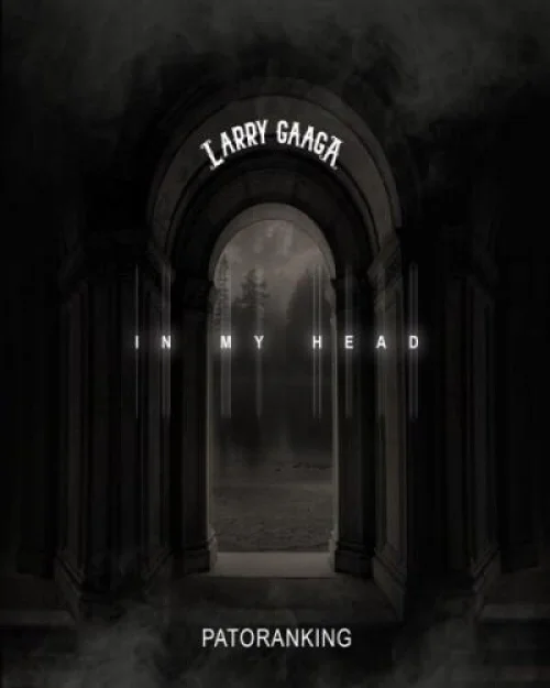 Larry Gaaga - In My Head
