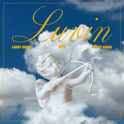 Larry Gaaga - Luvin