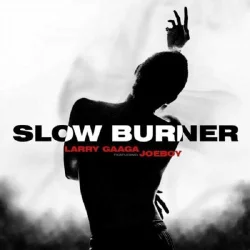 Larry Gaaga - Slow Burner