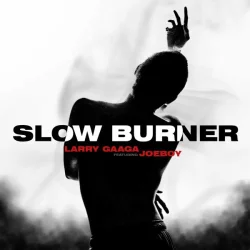 Larry Gaaga - Slow Burner (feat. Joeboy)