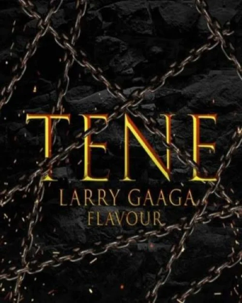 Larry Gaaga - Tene