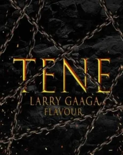 Larry Gaaga - Tene