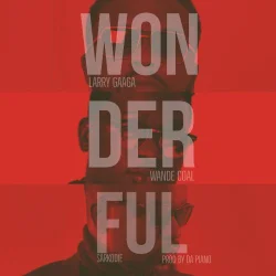 Larry Gaaga - Wonderful (feat. Wande Coal & Sarkodie)