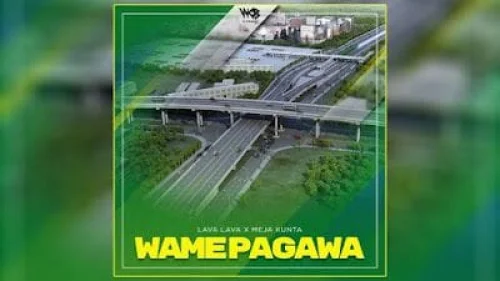 Lava Lava - Wamepagawa (feat. Meja Kunta)