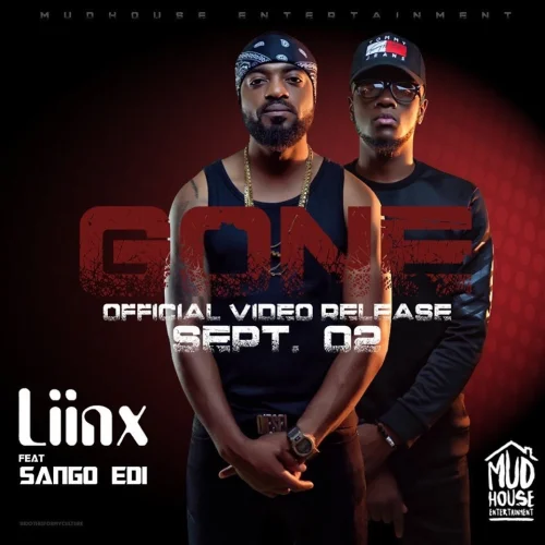 Liinx - Gone (feat. Sango Ed)