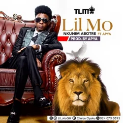 Lil Moo - Nkunim Abotre (feat. Apya)