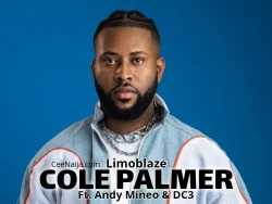 Limoblaze - Cole Palmer