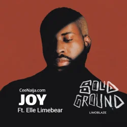 Limoblaze - Joy