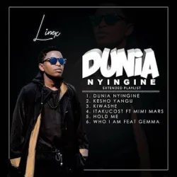 Linex - Kiwashe