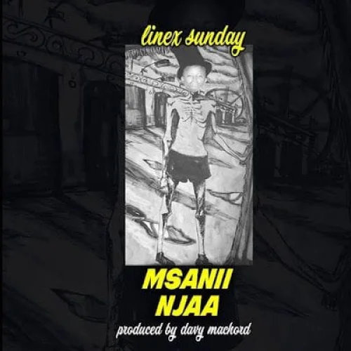 Linex - Msanii Njaa