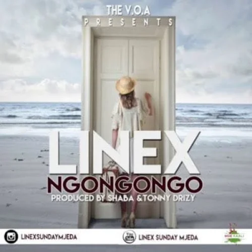 Linex - Ngongongo