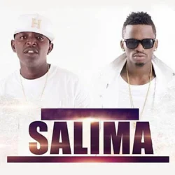 Linex - Salima (feat. Diamond Platnumz)