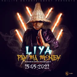 Liya - Pay Ma Money