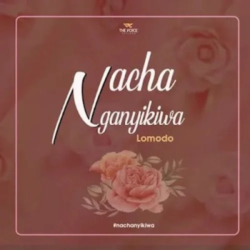 Lomodo - Nachanganyikiwa