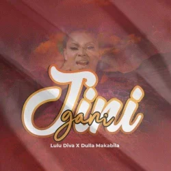 Lulu Diva - Jini Gani (feat. Dulla Makabila)