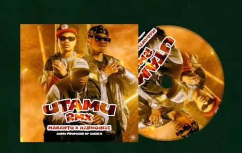 Mabantu - Utamu Remix (feat. Harmonize)