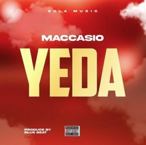 Maccasio - YEDA