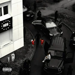 Maes - SURVIE (feat. Ninho)