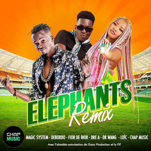 Magic System - Elephants (Dr Wang Remix) (feat. Debordo Leekunfa, Fior 2 Bior, DRE-A, Dr Wang & Loïc)