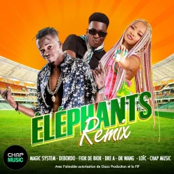 Magic System - Elephants (Dr Wang Remix) (feat. Debordo Leekunfa, Fior 2 Bior, DRE-A, Dr Wang & Loïc)