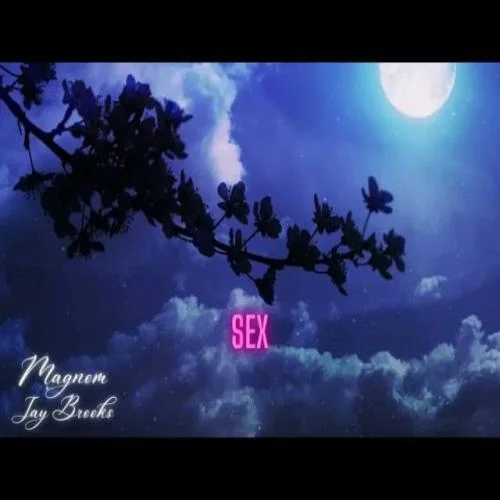 Magnom - Sex All Night