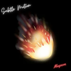 Magnom - Subtle Motion