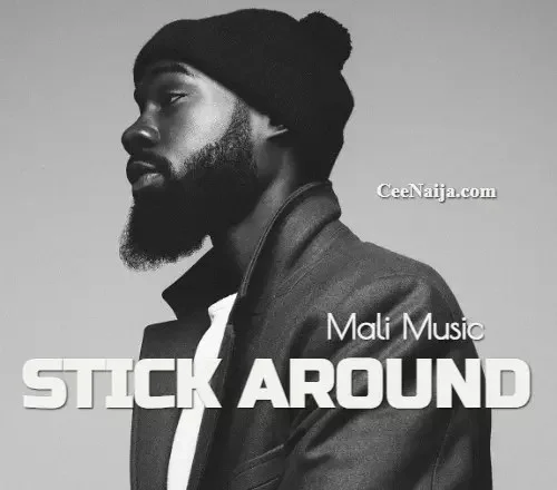 Mali Music - Stick Around