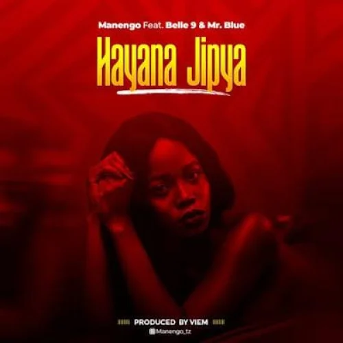 Manengo - Hayana Jipya (feat. Belle 9 Mr. Blue)