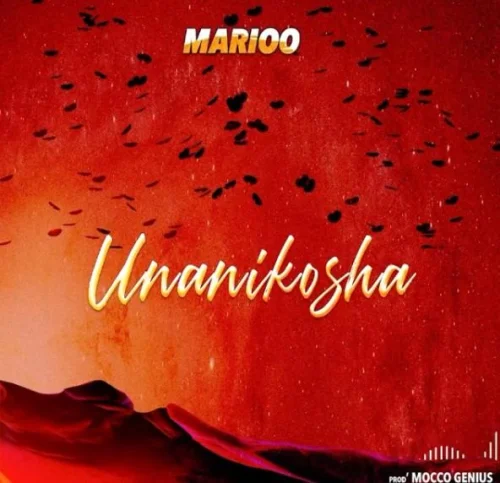 Marioo - Unanikosha