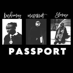 Masterkraft - Passport (feat. Slimcase & Kashcoming)