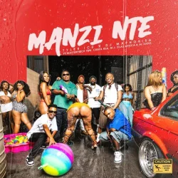 Masterpiece YVK - Manzi Nte (feat. Ceeka RSA, M.J, Silas Africa & Alxapo)