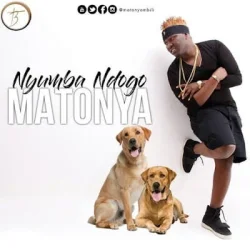 Matonya - Nyumba Ndogo