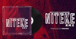 Maua Sama - Niteke Remix (feat. Harmonize)