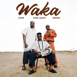 Mavins - Waka (feat. Don Jazzy, Jvxn & Deeno)