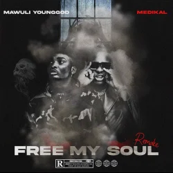 Mawuli Younggod - Free My Soul Remix (feat. Medikal)