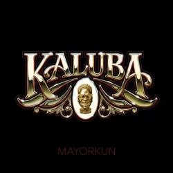 Mayorkun - Kaluba