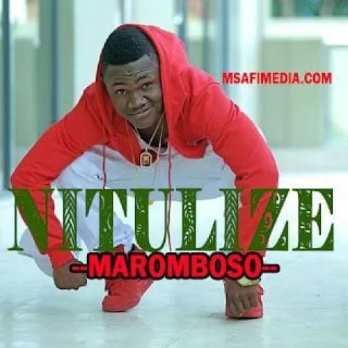 Mbosso - Nitulize